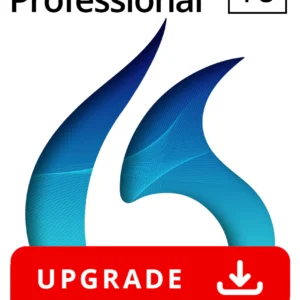 dragon professional upgrade